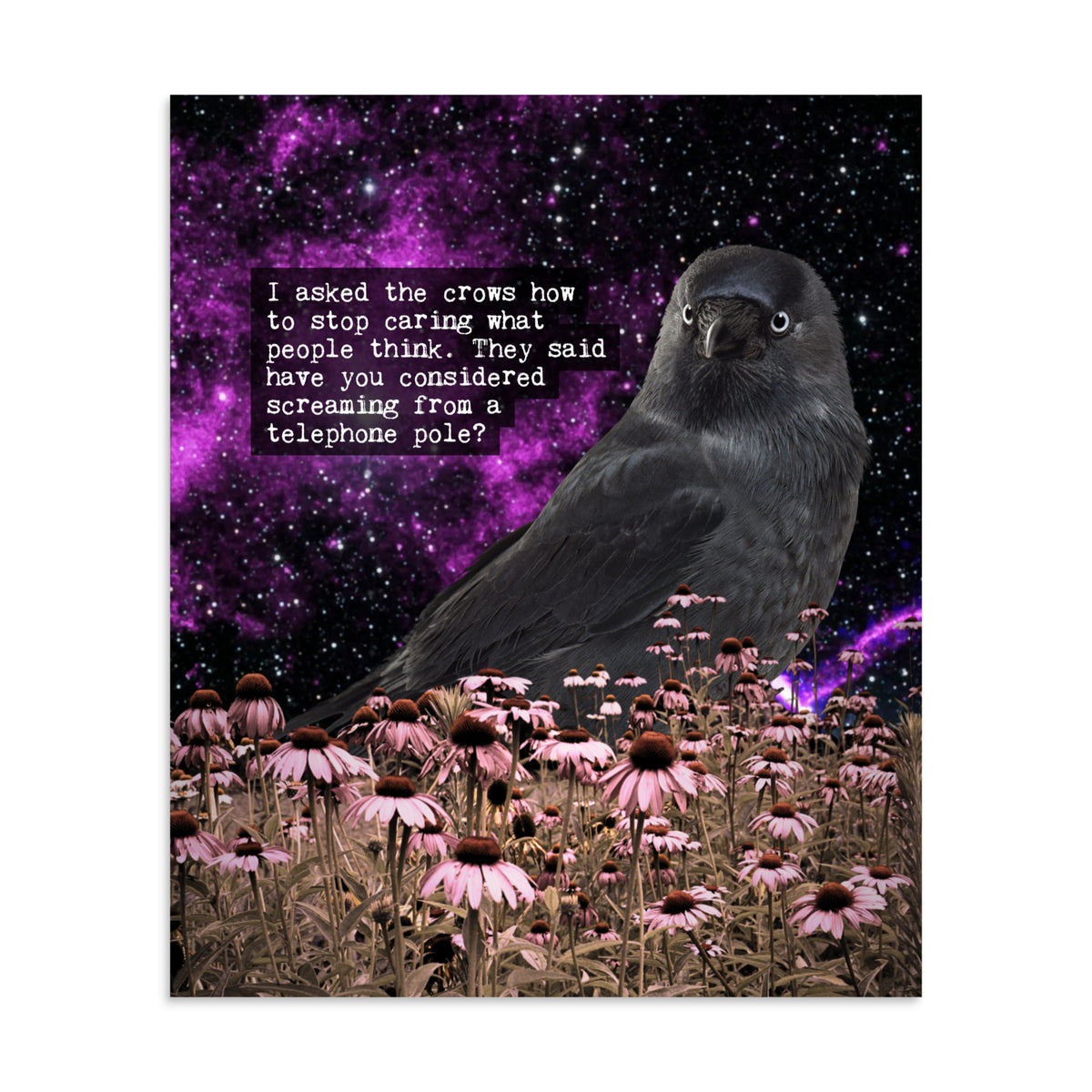 Stop Caring Crow poster: a crow in a field of pink coneflowers under a purple cosmic sky, with the text: I asked the crows how to stop caring what people think. They said have you considered screaming from a telephone pole?