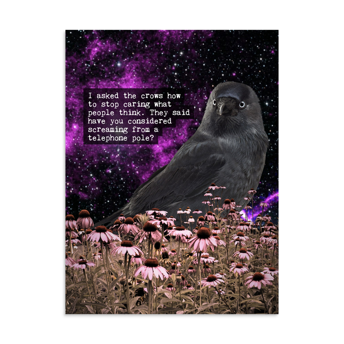 Stop Caring Crow poster: a crow in a field of pink coneflowers under a purple cosmic sky, with the text: I asked the crows how to stop caring what people think. They said have you considered screaming from a telephone pole?